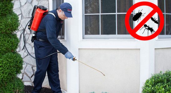 Kepsut Kene İlaçlama böcek ilaçlama ve haşere kontrolü — ilaclama-tr.com